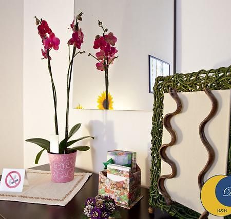 Dolce Lecce B&B Quarto foto