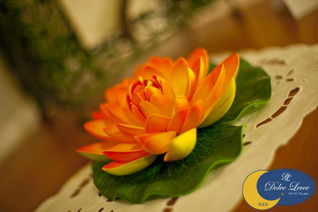 Dolce Lecce B&B Quarto foto
